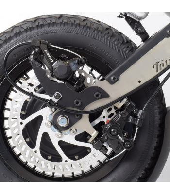 Triride Disc Brake